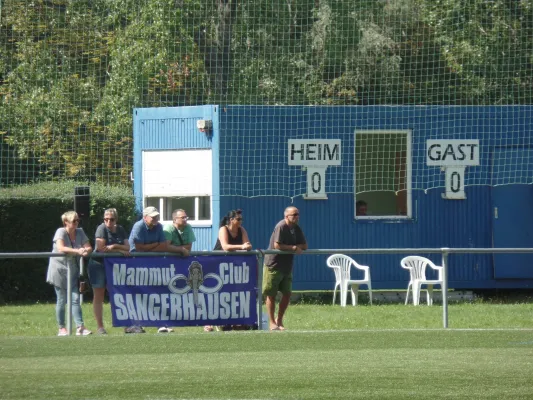 Verbandsliga : IMO Merseburg vs. VfB Sangerhausen