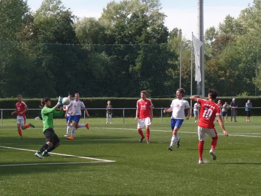 Verbandsliga : IMO Merseburg vs. VfB Sangerhausen