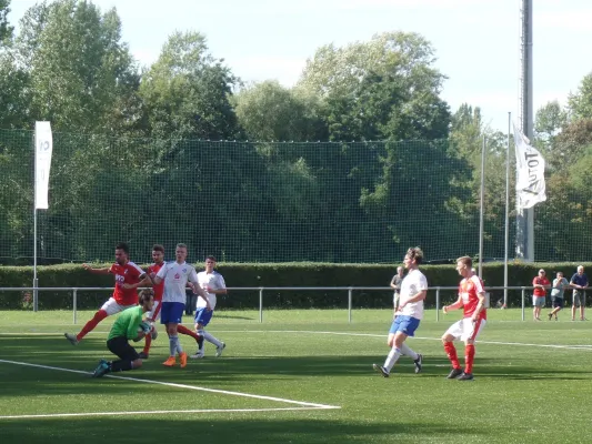 Verbandsliga : IMO Merseburg vs. VfB Sangerhausen