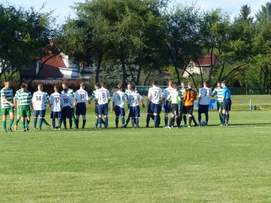 Testspiel A-Jugend vs. Männermannschaft Reideburg