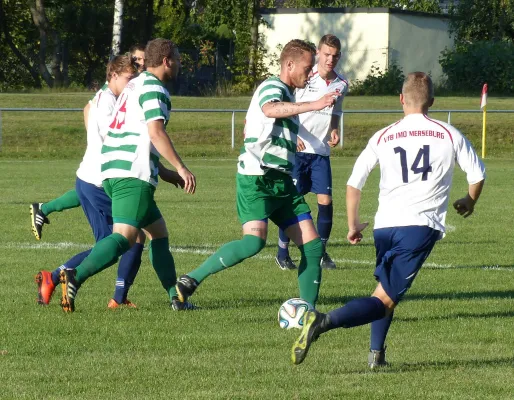 Testspiel A-Jugend vs. Männermannschaft Reideburg