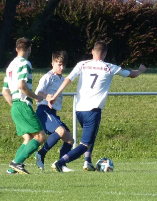 Testspiel A-Jugend vs. Männermannschaft Reideburg