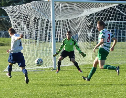 Testspiel A-Jugend vs. Männermannschaft Reideburg