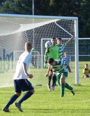 Testspiel A-Jugend vs. Männermannschaft Reideburg