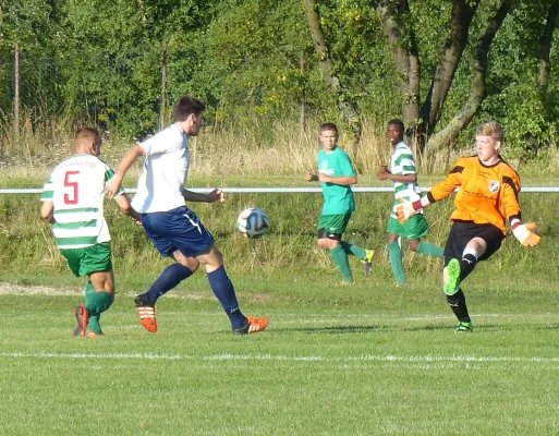 Testspiel A-Jugend vs. Männermannschaft Reideburg