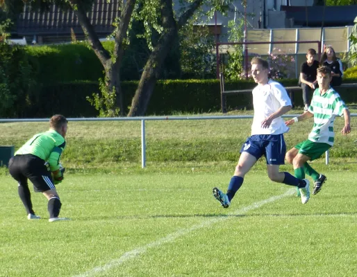 Testspiel A-Jugend vs. Männermannschaft Reideburg