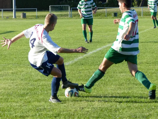 Testspiel A-Jugend vs. Männermannschaft Reideburg