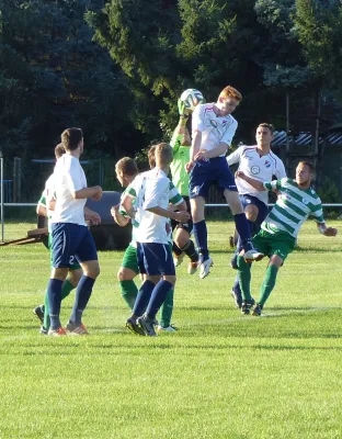 Testspiel A-Jugend vs. Männermannschaft Reideburg