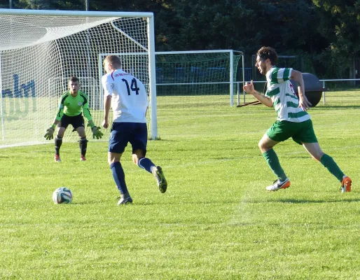 Testspiel A-Jugend vs. Männermannschaft Reideburg