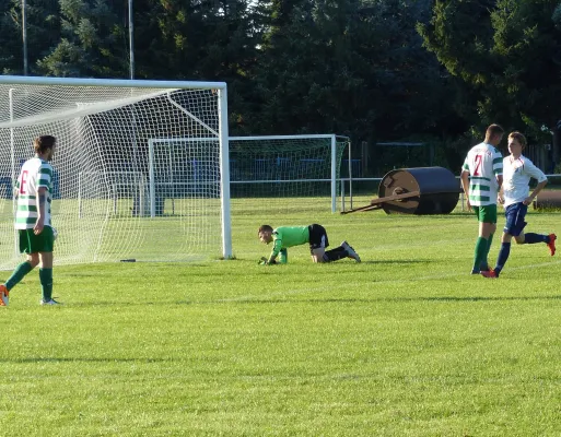 Testspiel A-Jugend vs. Männermannschaft Reideburg