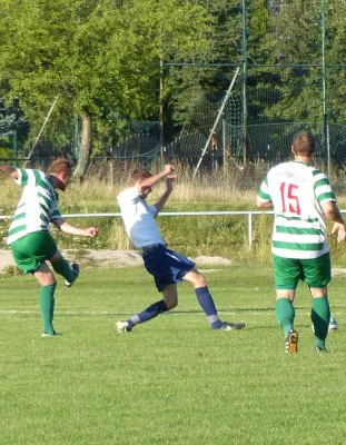 Testspiel A-Jugend vs. Männermannschaft Reideburg