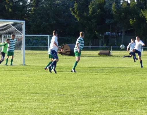 Testspiel A-Jugend vs. Männermannschaft Reideburg