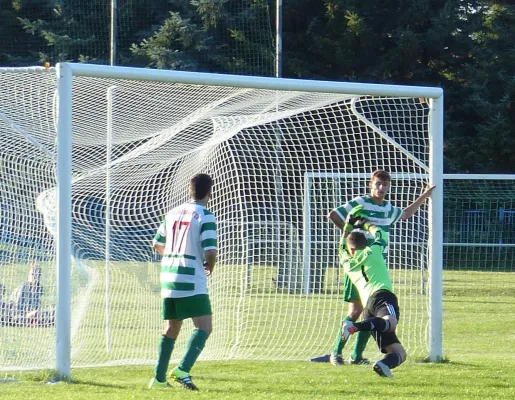 Testspiel A-Jugend vs. Männermannschaft Reideburg