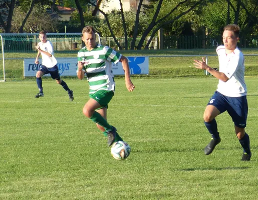 Testspiel A-Jugend vs. Männermannschaft Reideburg