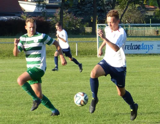 Testspiel A-Jugend vs. Männermannschaft Reideburg