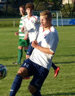 Testspiel A-Jugend vs. Männermannschaft Reideburg