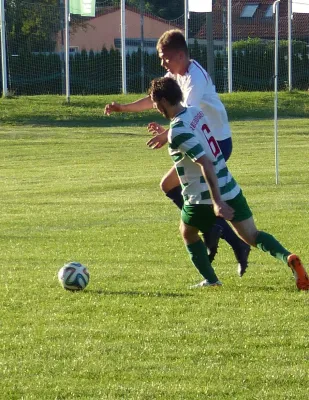 Testspiel A-Jugend vs. Männermannschaft Reideburg