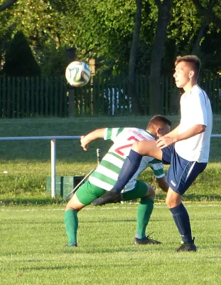 Testspiel A-Jugend vs. Männermannschaft Reideburg