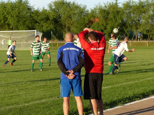 Testspiel A-Jugend vs. Männermannschaft Reideburg