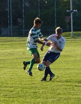 Testspiel A-Jugend vs. Männermannschaft Reideburg