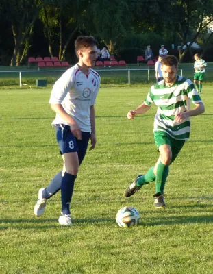 Testspiel A-Jugend vs. Männermannschaft Reideburg