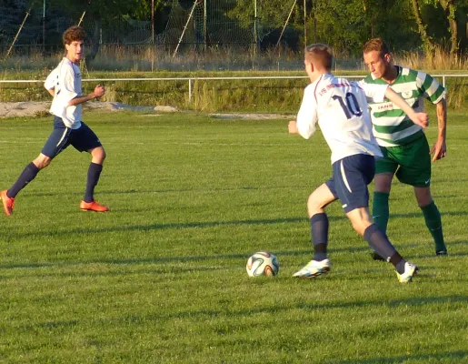 Testspiel A-Jugend vs. Männermannschaft Reideburg