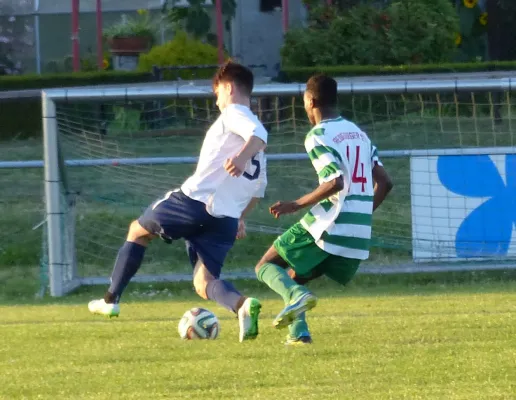 Testspiel A-Jugend vs. Männermannschaft Reideburg