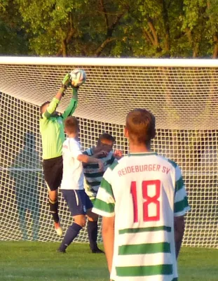 Testspiel A-Jugend vs. Männermannschaft Reideburg