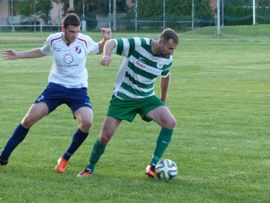 Testspiel A-Jugend vs. Männermannschaft Reideburg