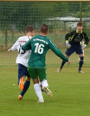 SV Merseburg 99 - A-Jugend VfB IMO