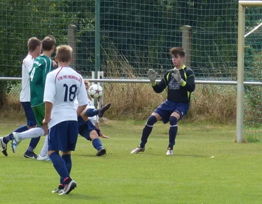 SV Merseburg 99 - A-Jugend VfB IMO