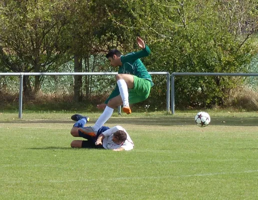 SV Merseburg 99 - A-Jugend VfB IMO