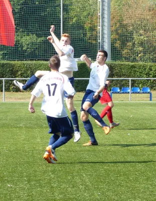 A-Jugend vs. VfL Halle (11.09.2016)