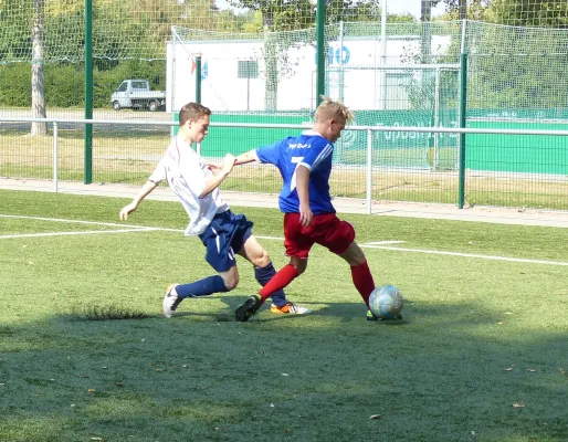 A-Jugend vs. VfL Halle (11.09.2016)