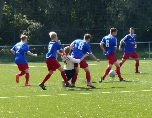 A-Jugend vs. VfL Halle (11.09.2016)