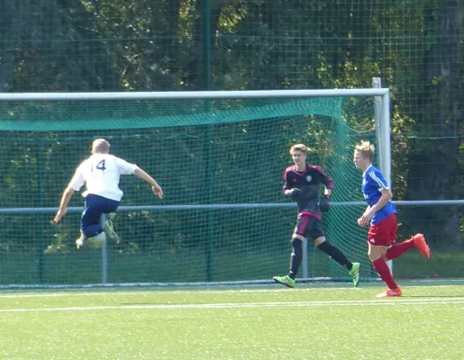 A-Jugend vs. VfL Halle (11.09.2016)