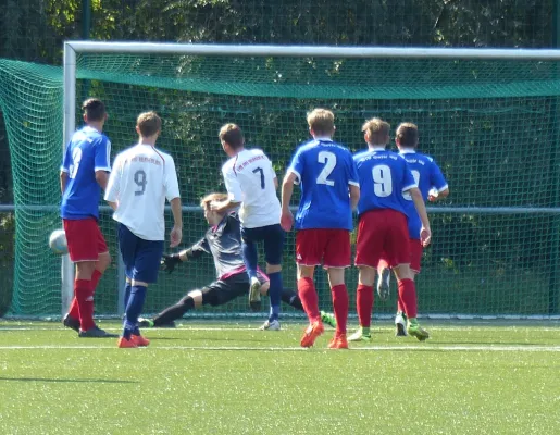 A-Jugend vs. VfL Halle (11.09.2016)