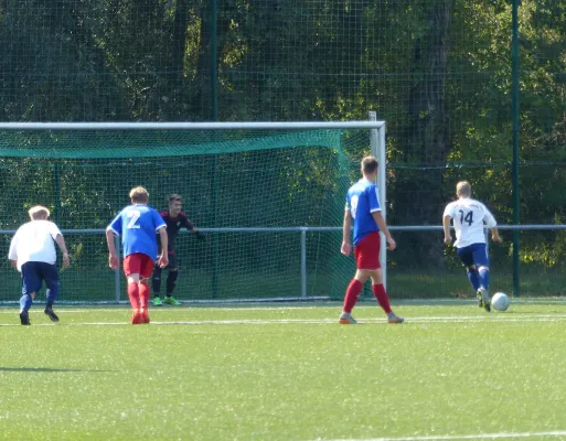 A-Jugend vs. VfL Halle (11.09.2016)