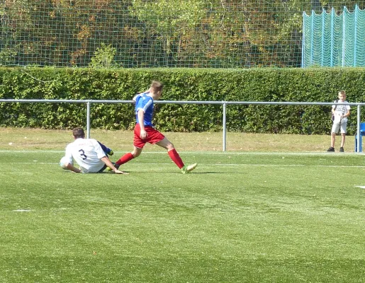 A-Jugend vs. VfL Halle (11.09.2016)