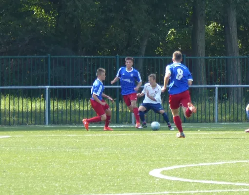 A-Jugend vs. VfL Halle (11.09.2016)