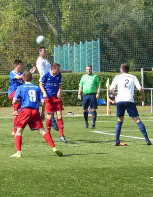 A-Jugend vs. VfL Halle (11.09.2016)