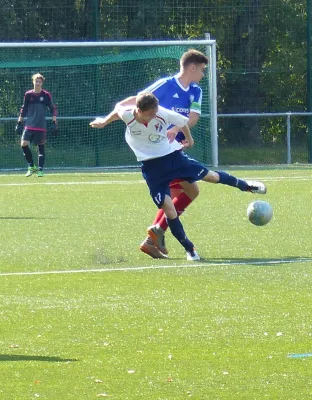 A-Jugend vs. VfL Halle (11.09.2016)