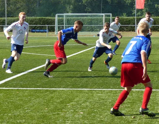 A-Jugend vs. VfL Halle (11.09.2016)