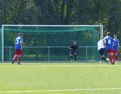 A-Jugend vs. VfL Halle (11.09.2016)