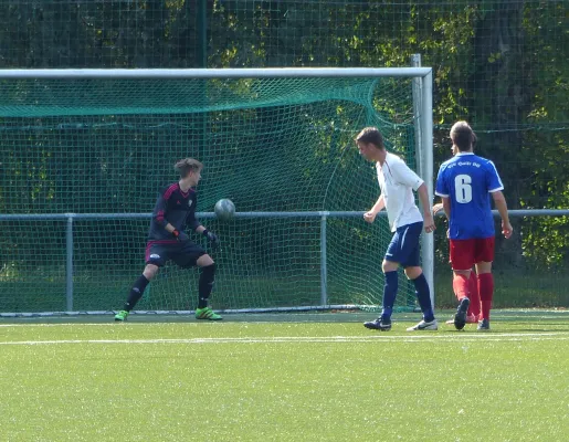 A-Jugend vs. VfL Halle (11.09.2016)