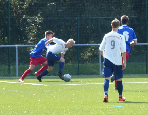 A-Jugend vs. VfL Halle (11.09.2016)