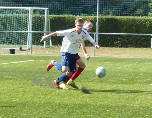 A-Jugend vs. VfL Halle (11.09.2016)