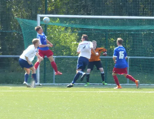 A-Jugend vs. VfL Halle (11.09.2016)