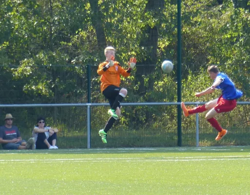 A-Jugend vs. VfL Halle (11.09.2016)