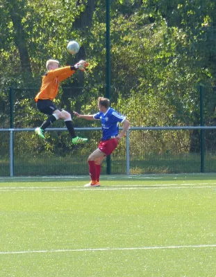 A-Jugend vs. VfL Halle (11.09.2016)